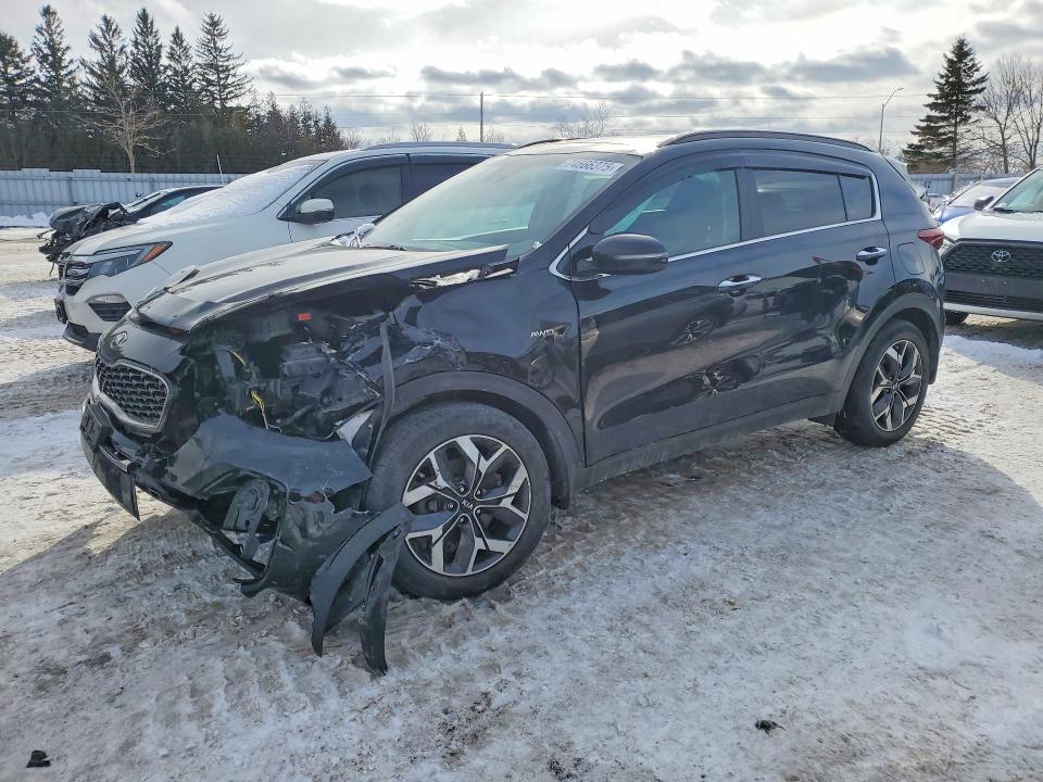 Auction sale of the 2020 Kia Sportage, vin: KNDPNCAC5L7772676, lot number: 74666375