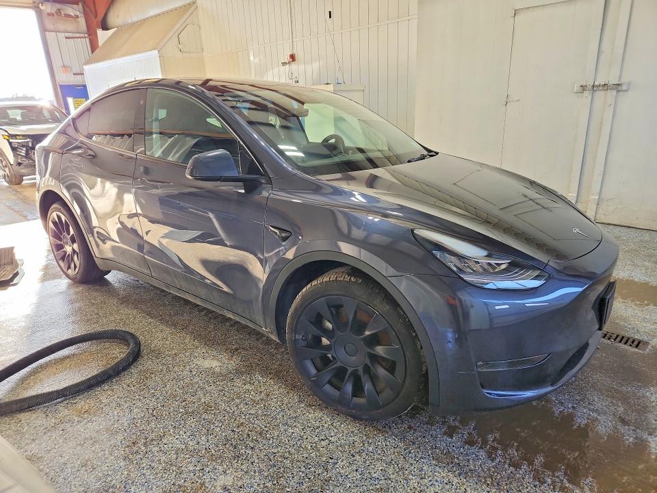 Aukcja sprzedaży 2023 Tesla Model Y, vin: 7SAYGDEE7PA034703, numer aukcji: 77732605