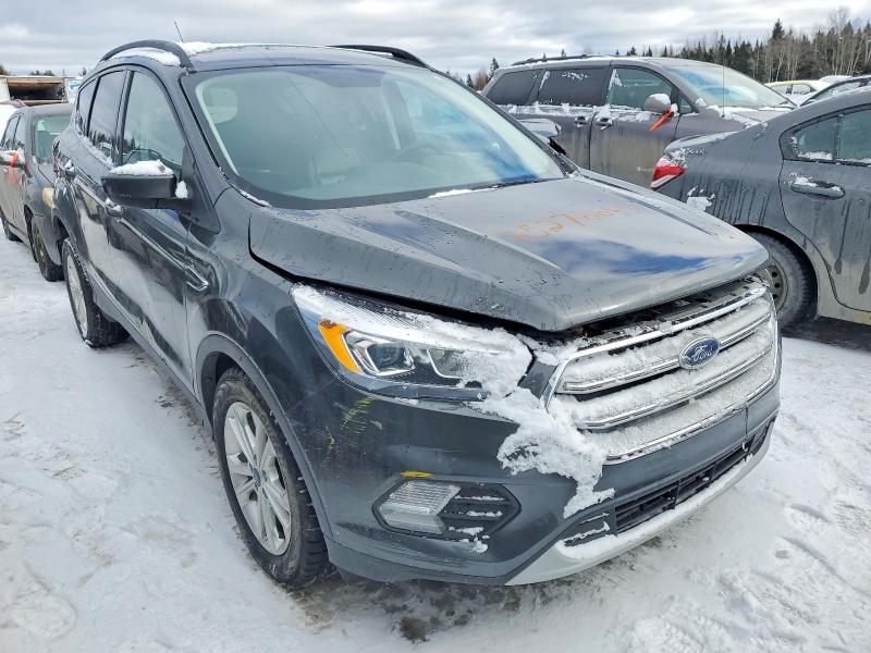 Auction sale of the 2019 Ford Escape, vin: 1FMCU9HD9KUC10438, lot number: 75276665