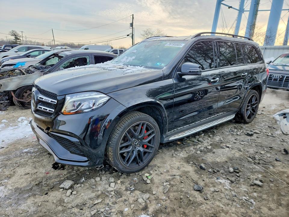 Продажа на аукционе авто 2017 Mercedes-benz Gls, vin: 4JGDF7FEXHA781283, номер лота: 76195905
