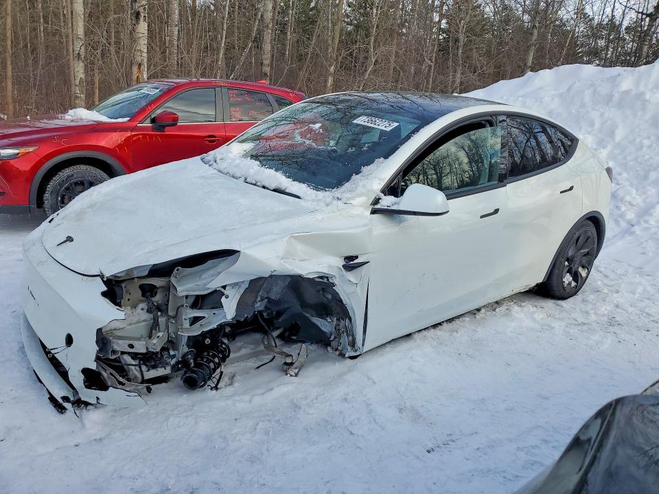 2024 Tesla Model Y მანქანა იყიდება აუქციონზე, vin: 7SAYGDED0RF990070, აუქციონის ნომერი: 73662275