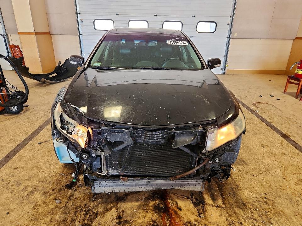 75864725 :رقم المزاد ، 19UUA86589A023826 vin ، 2009 Acura Tl مزاد بيع
