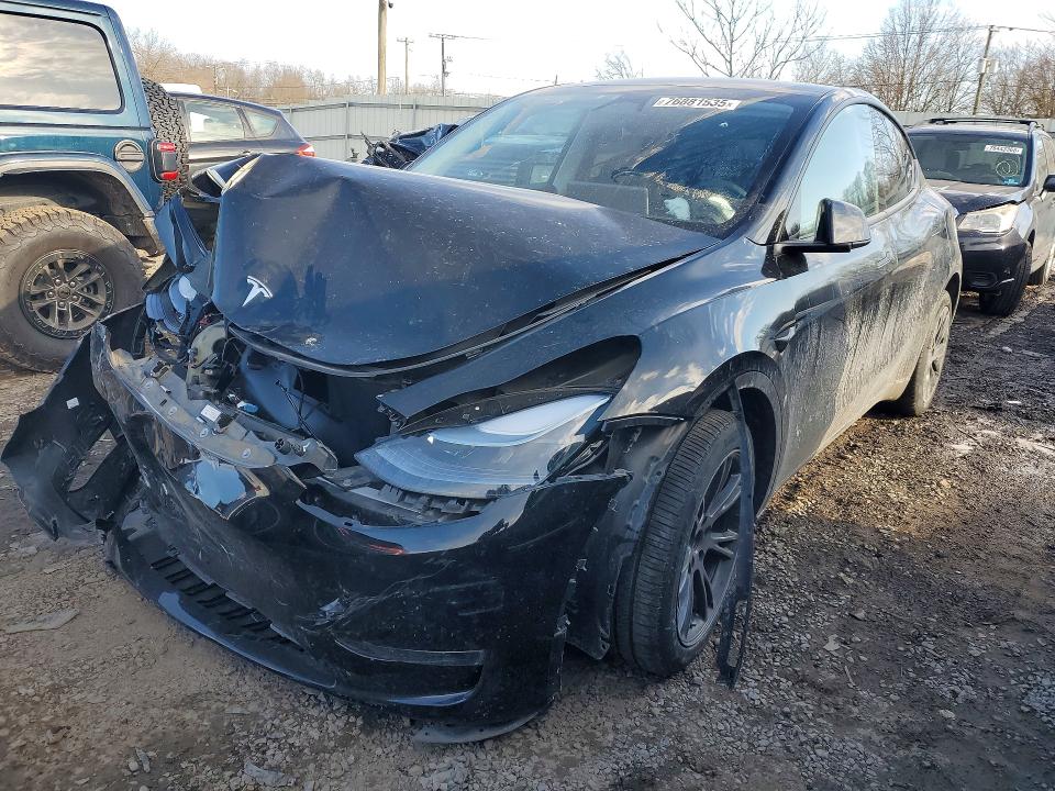Продаж на аукціоні авто 2024 Tesla Model Y, vin: 7SAYGDEE2RA331039, номер лоту: 76881535