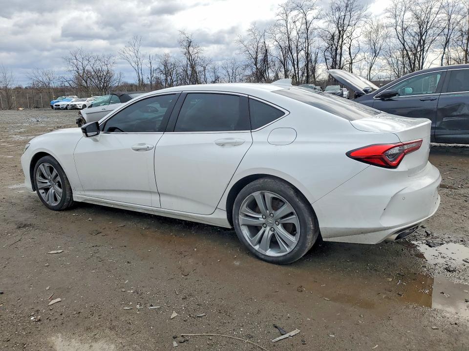 Продаж на аукціоні авто 2021 Acura Tlx, vin: 19UUB6F41MA010000, номер лоту: 75563235