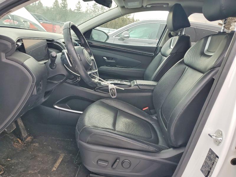 2024 Hyundai Tucson მანქანა იყიდება აუქციონზე, vin: KM8JCCD19RU181732, აუქციონის ნომერი: 75880785