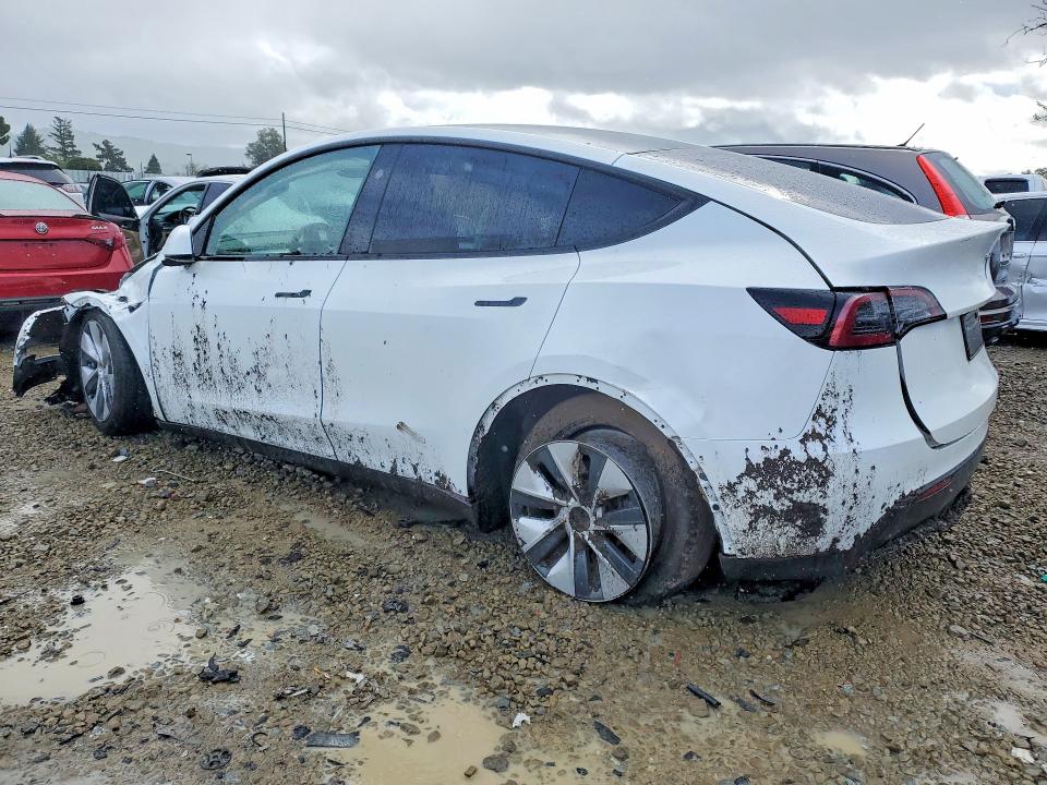Aukcja sprzedaży 2024 Tesla Model Y, vin: 7SAYGDEE4RF056471, numer aukcji: 77807305