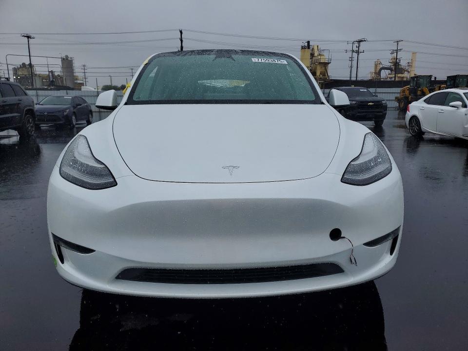Продаж на аукціоні авто 2023 Tesla Model Y, vin: 7SAYGDEE3PA117724, номер лоту: 77593875