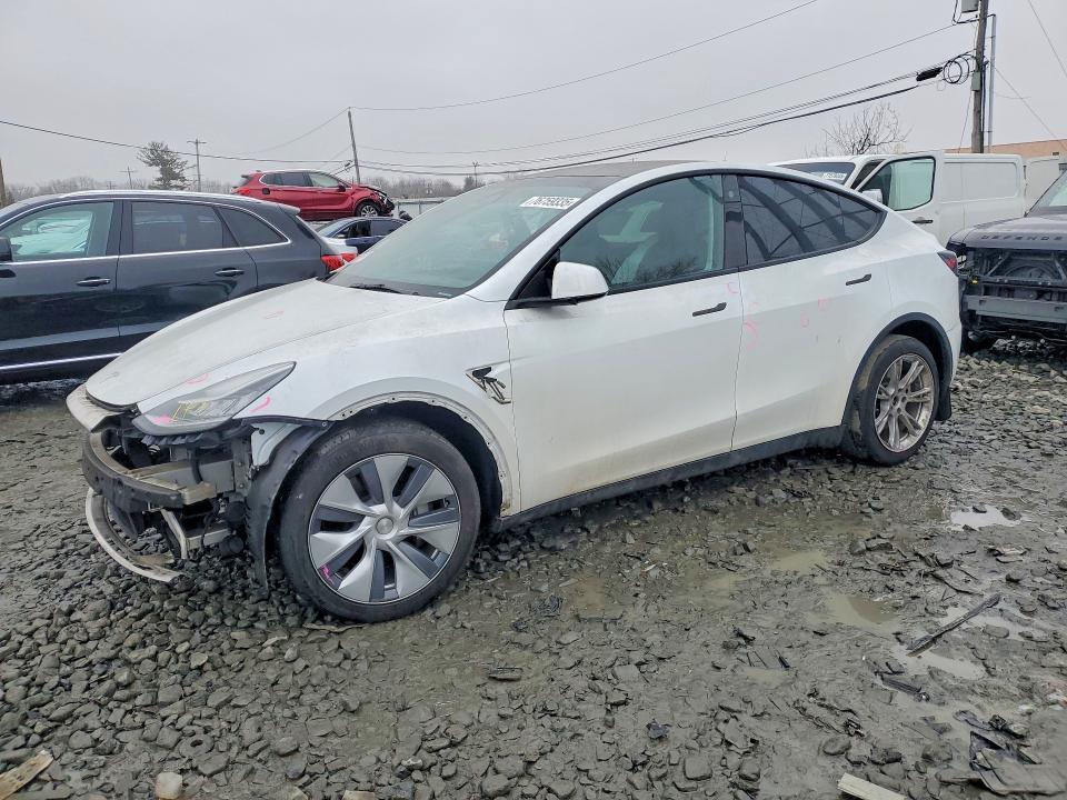Aukcja sprzedaży 2023 Tesla Model Y, vin: 7SAYGDEE8PA093243, numer aukcji: 76759335