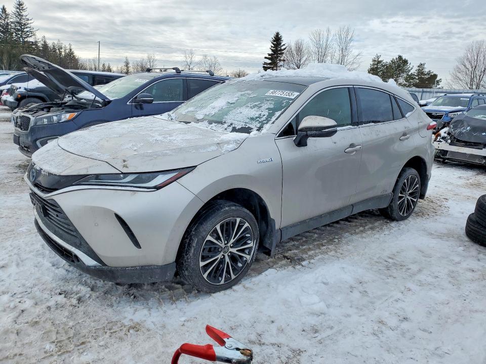 Продаж на аукціоні авто 2021 Toyota Venza, vin: JTEAAAAH1MJ060263, номер лоту: 98775155