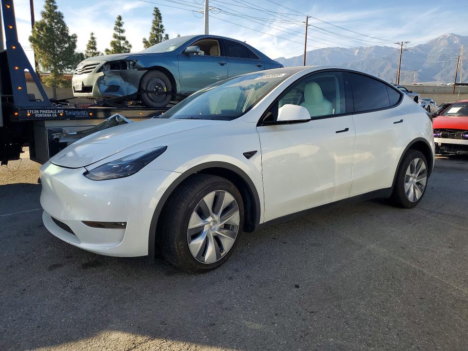 Продажа на аукционе авто 2024 Tesla Model Y, vin: 7SAYGDEE6RF073773, номер лота: 77182605