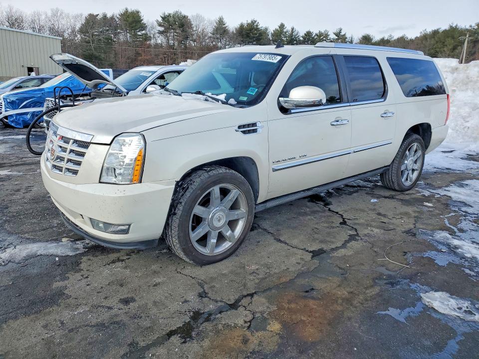 75797985 :رقم المزاد ، 1GYUKJEF8AR209184 vin ، 2010 Cadillac Escalade مزاد بيع