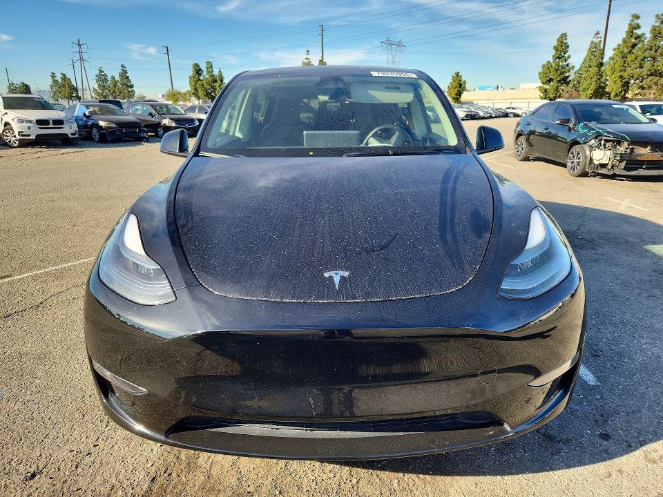 Продажа на аукционе авто 2024 Tesla Model Y, vin: 7SAYGDEE8RF164320, номер лота: 79035955