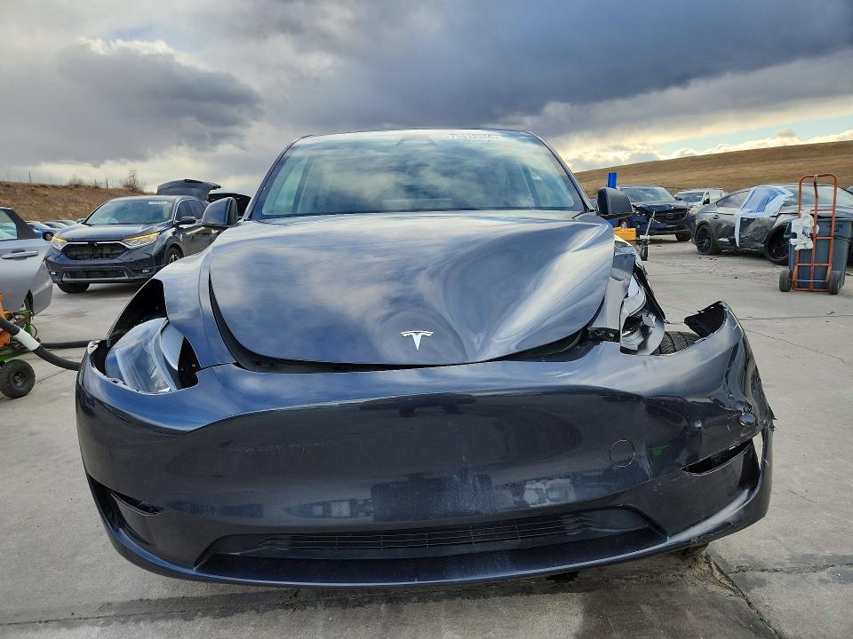Продажа на аукционе авто 2024 Tesla Model Y, vin: 7SAYGDEE7RF079789, номер лота: 75512185