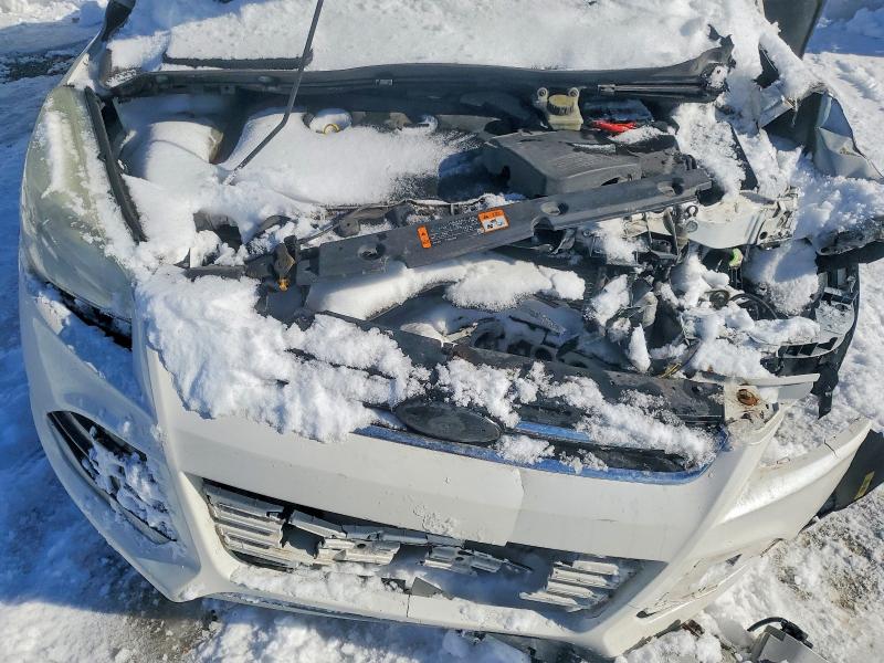 78170505 :رقم المزاد ، 1FMCU0H96DUA76093 vin ، 2013 Ford Escape مزاد بيع