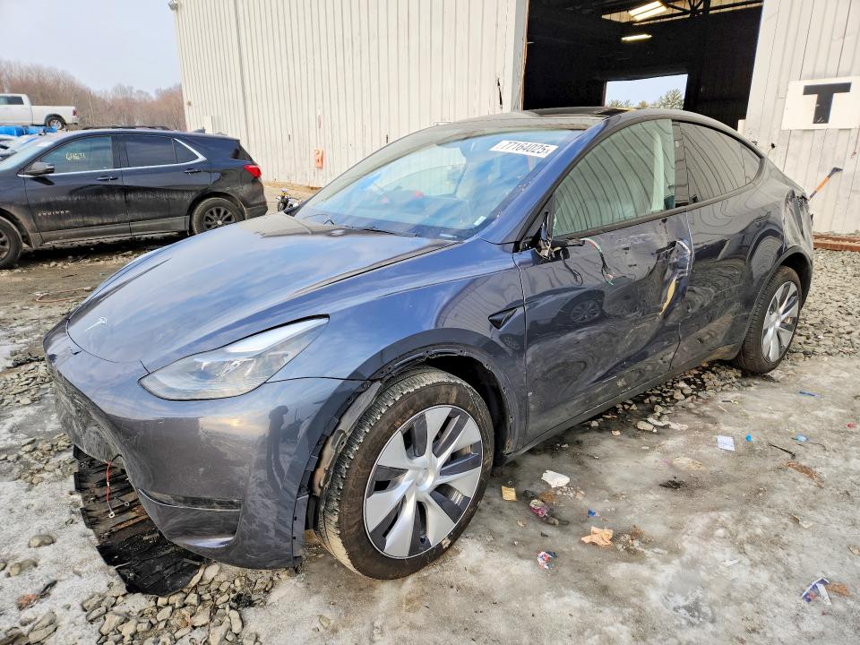 Продажа на аукционе авто 2023 Tesla Model Y, vin: 7SAYGDEE2PA193239, номер лота: 77164025