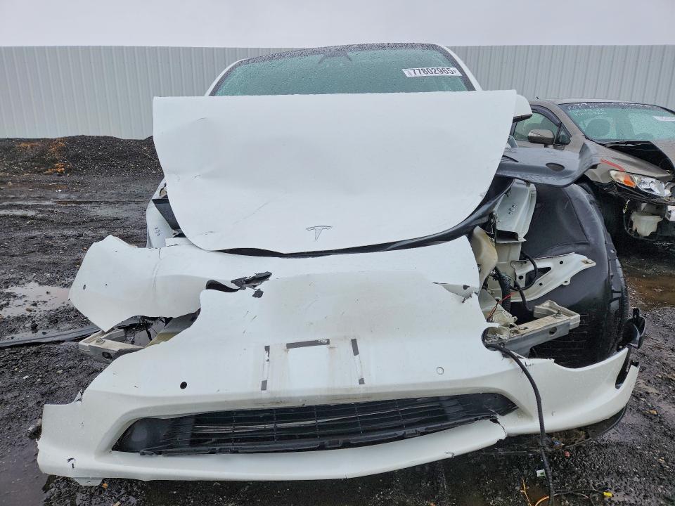 Продажа на аукционе авто 2021 Tesla Model Y, vin: 5YJYGDEE4MF190175, номер лота: 77802965