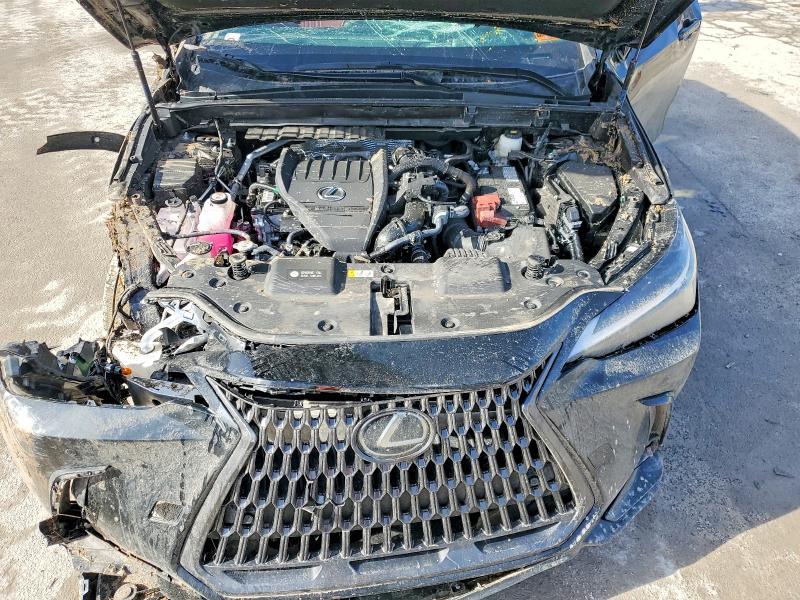 Продаж на аукціоні авто 2025 Lexus Nx, vin: 2T2AGCEZ0SC090005, номер лоту: 78164935