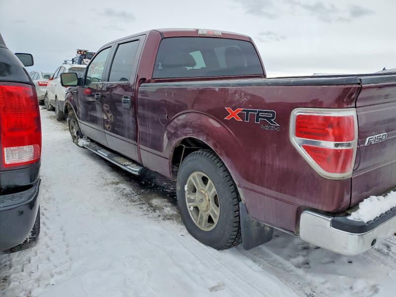 Продажа на аукционе авто 2010 Ford F150, vin: 1FTFW1E81AFB10549, номер лота: 78124735