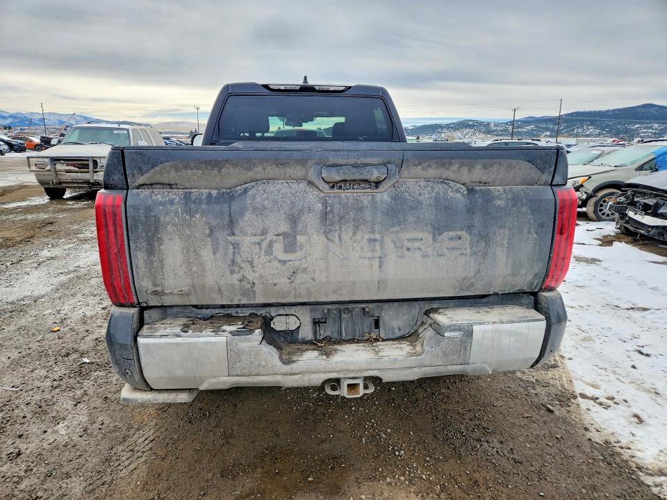 2025 Toyota Tundra მანქანა იყიდება აუქციონზე, vin: 5TFLA5EC3SX046023, აუქციონის ნომერი: 78300915
