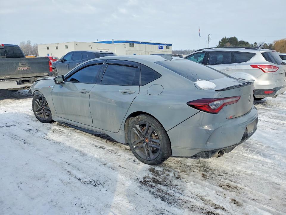 Продаж на аукціоні авто 2025 Acura Tlx, vin: 19UUB6F52SA800167, номер лоту: 77034745
