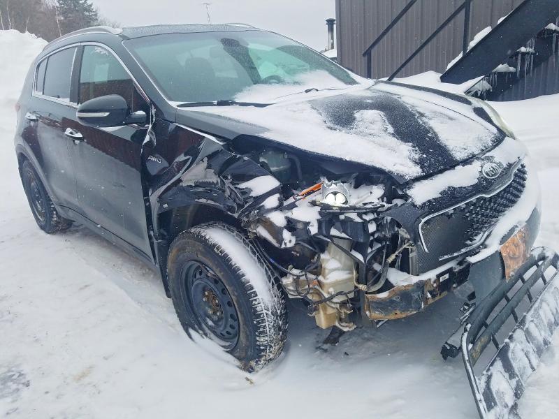 Продаж на аукціоні авто 2017 Kia Sportage, vin: KNDPNCACXH7045587, номер лоту: 76130105
