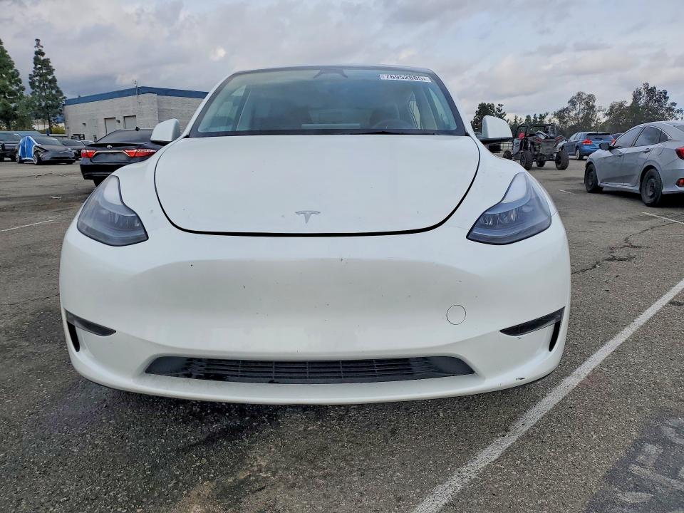 Продажа на аукционе авто 2025 Tesla Model Y, vin: 7SAYGDED1SF255166, номер лота: 76952885
