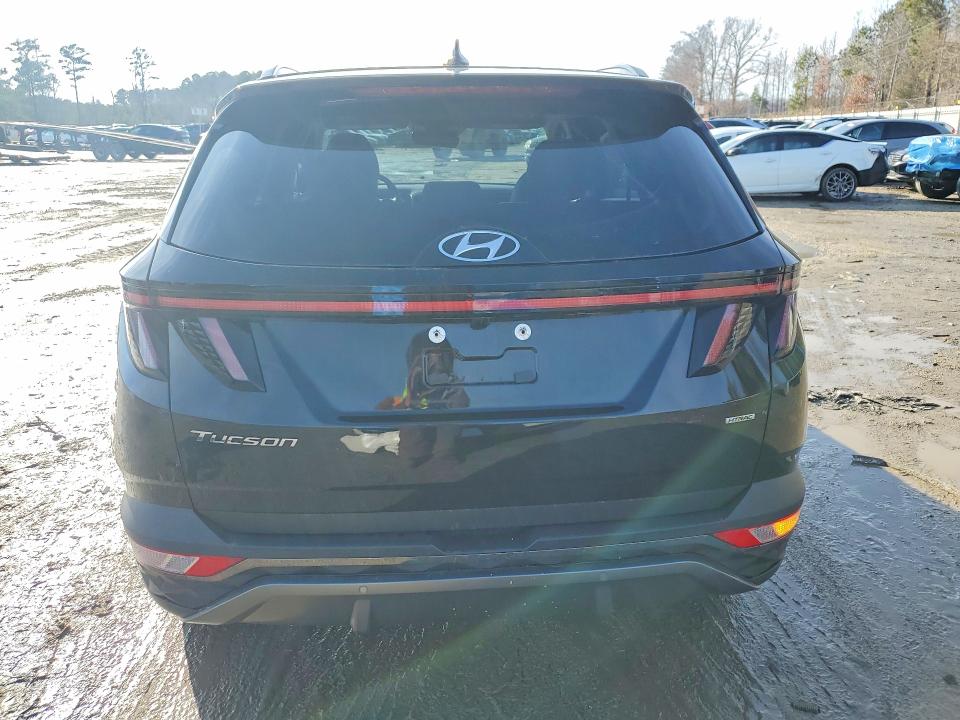 Продаж на аукціоні авто 2024 Hyundai Tucson, vin: 5NMJECDE3RH438912, номер лоту: 78081765