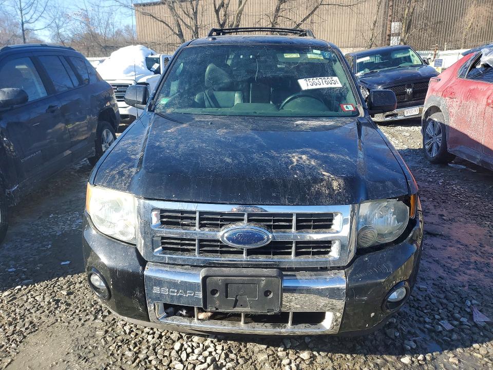 Продаж на аукціоні авто 2009 Ford Escape, vin: 1FMCU04G49KB26027, номер лоту: 75637805