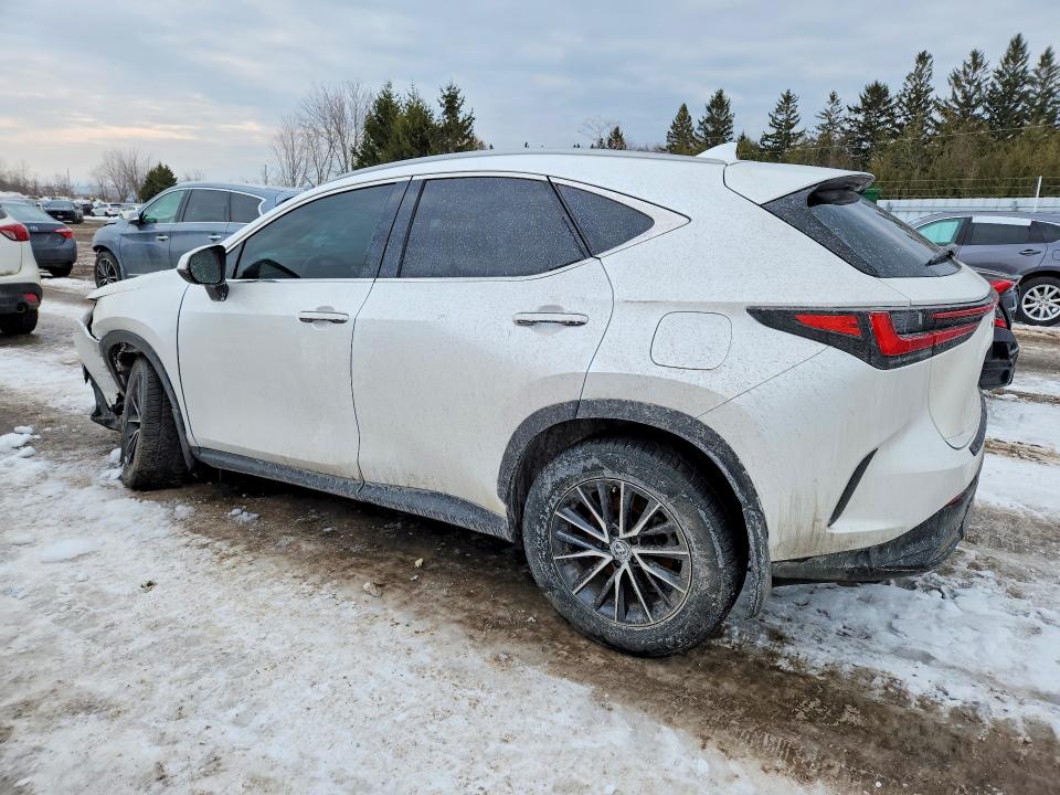 Aukcja sprzedaży 2024 Lexus Nx 350, vin: 2T2GKCEZXRC025200, numer aukcji: 78522075