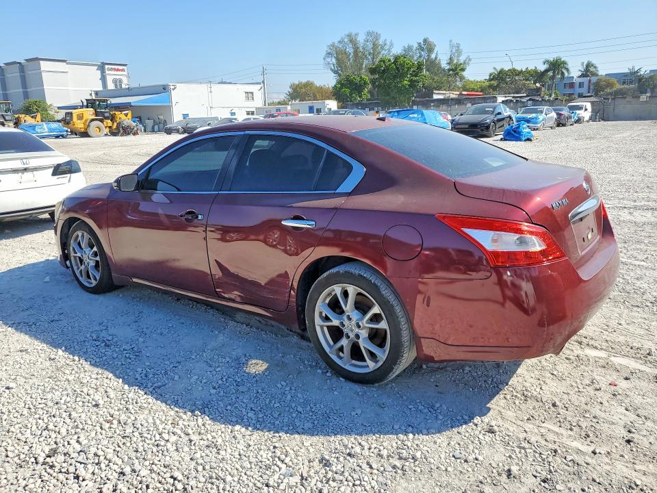 Продаж на аукціоні авто 2010 Nissan Maxima, vin: 1N4AA5AP6AC851557, номер лоту: 56295216