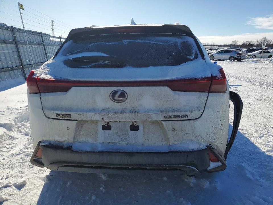 Aukcja sprzedaży 2020 Lexus Ux, vin: JTHR9JBH5L2028373, numer aukcji: 75709925