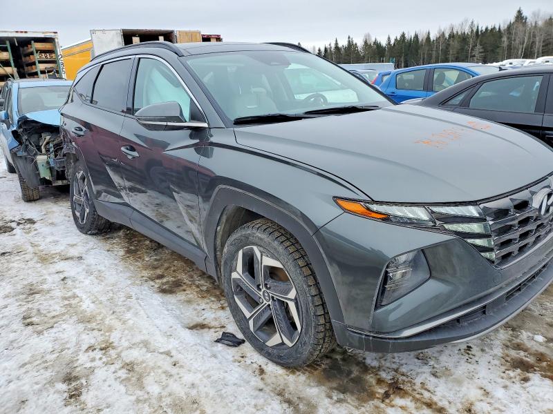 2023 Hyundai Tucson მანქანა იყიდება აუქციონზე, vin: KM8JCCA12PU129344, აუქციონის ნომერი: 76928965