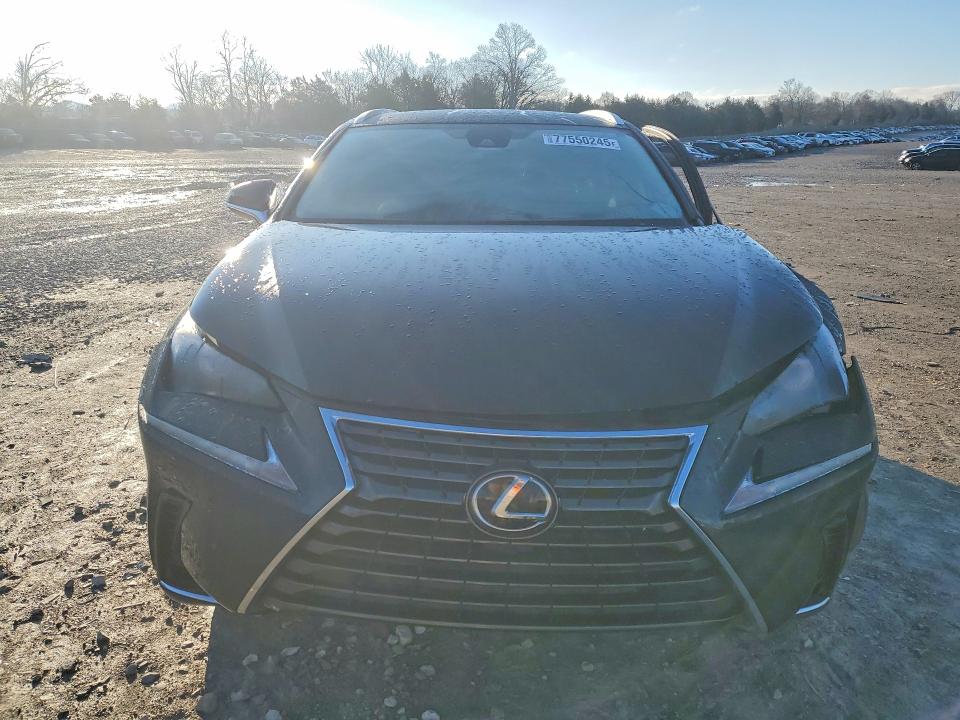 Продаж на аукціоні авто 2021 Lexus Nx, vin: JTJDARBZ3M2197848, номер лоту: 77550245