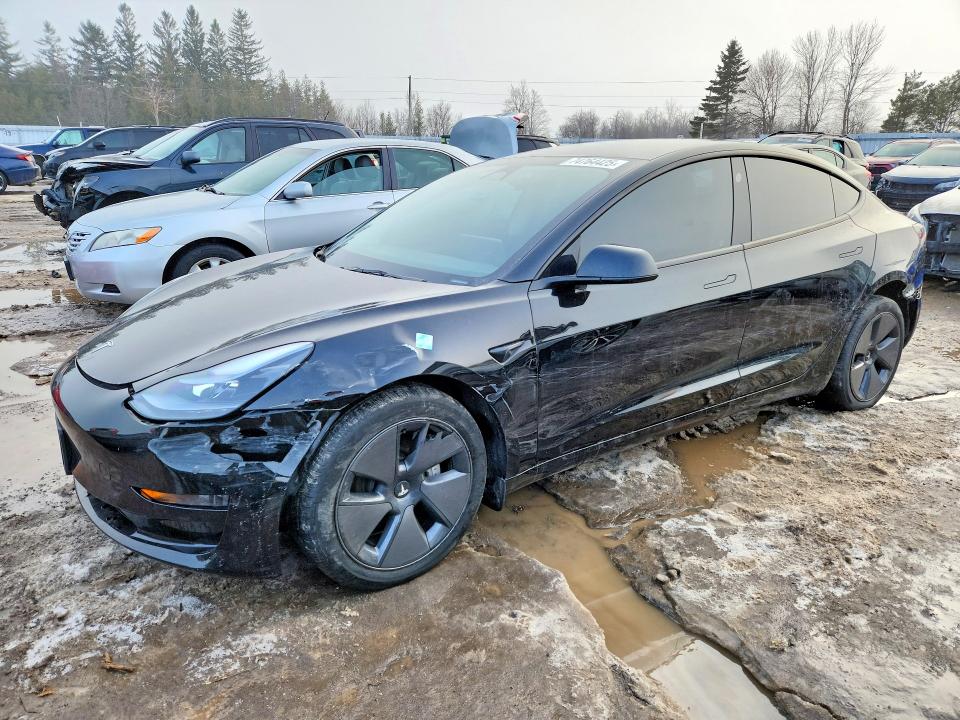 74764425 :رقم المزاد ، 5YJ3E1EA8PF541508 vin ، 2023 Tesla Model 3 مزاد بيع