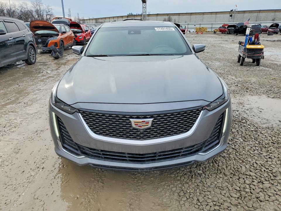 Продаж на аукціоні авто 2021 Cadillac Ct5, vin: 1G6DX5RK3M0113013, номер лоту: 77491455