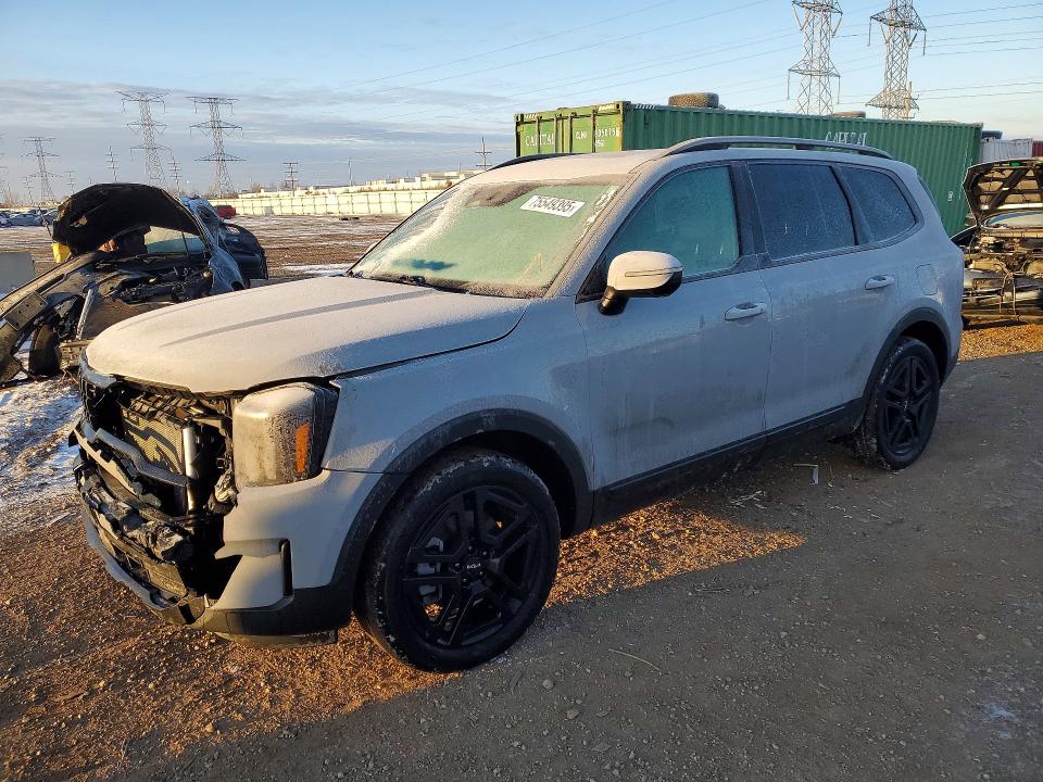 Auction sale of the 2024 Kia Telluride, vin: 5XYP3DGC5RG469377, lot number: 75549395
