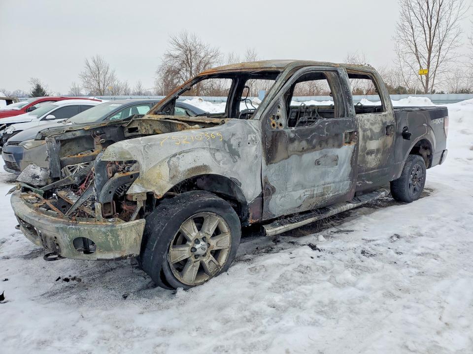 Продажа на аукционе авто 2010 Ford F150, vin: 1FTEW1E85AFB11649, номер лота: 75210365