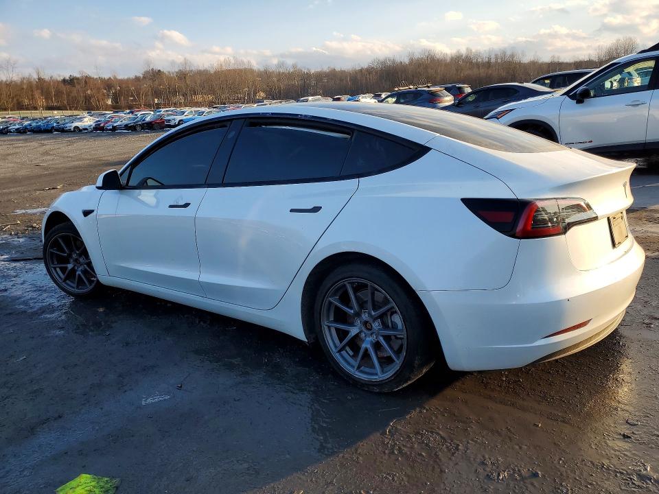 Продаж на аукціоні авто 2023 Tesla Model 3, vin: 5YJ3E1EB0PF637304, номер лоту: 78068075