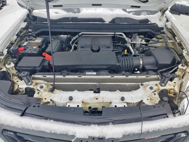 Продаж на аукціоні авто 2023 Chevrolet Colorado, vin: 1GCPTEEK8P1133526, номер лоту: 76586665