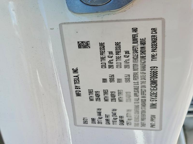 2021 Tesla Model 3 მანქანა იყიდება აუქციონზე, vin: 5YJ3E1EA3MF066619, აუქციონის ნომერი: 77369075