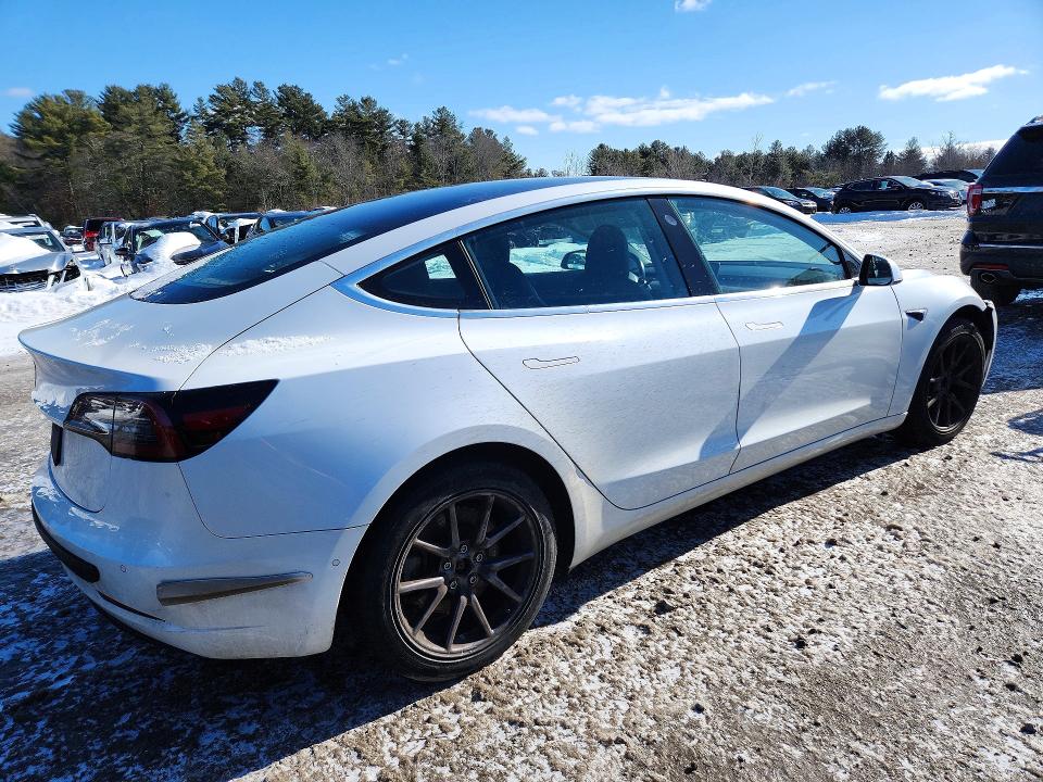 Продаж на аукціоні авто 2019 Tesla Model 3, vin: 5YJ3E1EA8KF309855, номер лоту: 77196915