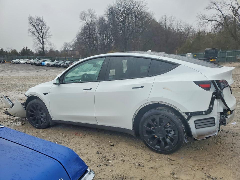 Aukcja sprzedaży 2023 Tesla Model Y, vin: 7SAYGDEE6PF868271, numer aukcji: 75355765
