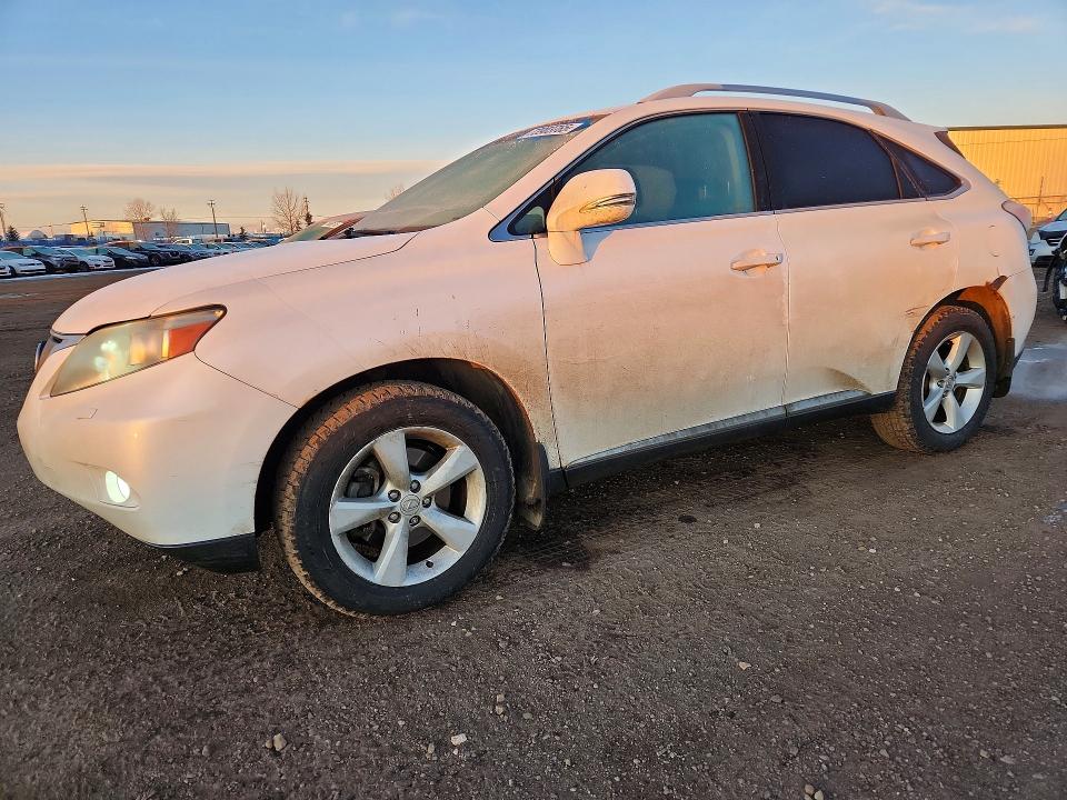 Auction sale of the 2010 Lexus Rx, vin: JTJBK1BA8A2429534, lot number: 73903765