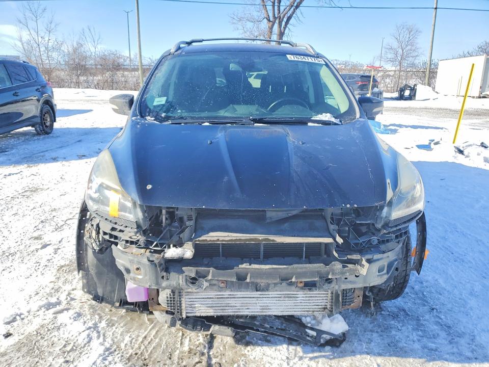 76347175 :رقم المزاد ، 1FMCU9J94DUA36013 vin ، 2013 Ford Escape Tit مزاد بيع