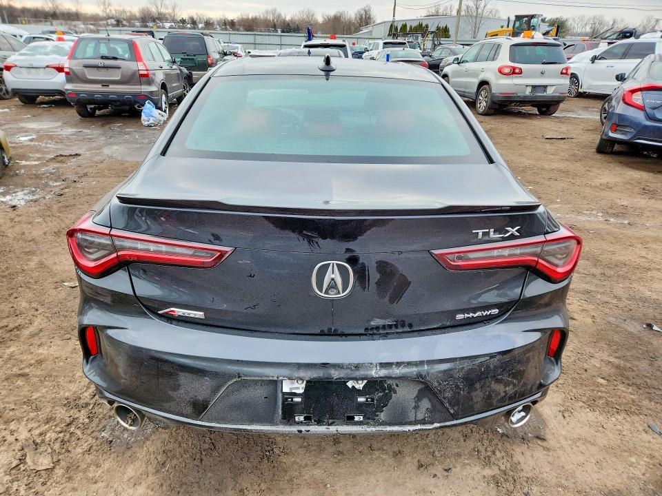 Продаж на аукціоні авто 2025 Acura Tlx, vin: 19UUB6F56SA005283, номер лоту: 75870895