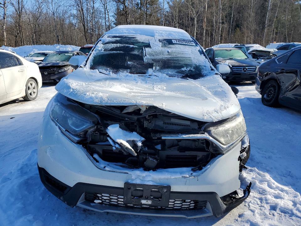 74929865 :رقم المزاد ، 2HKRW2H29KH128119 vin ، 2019 Honda Cr-v مزاد بيع
