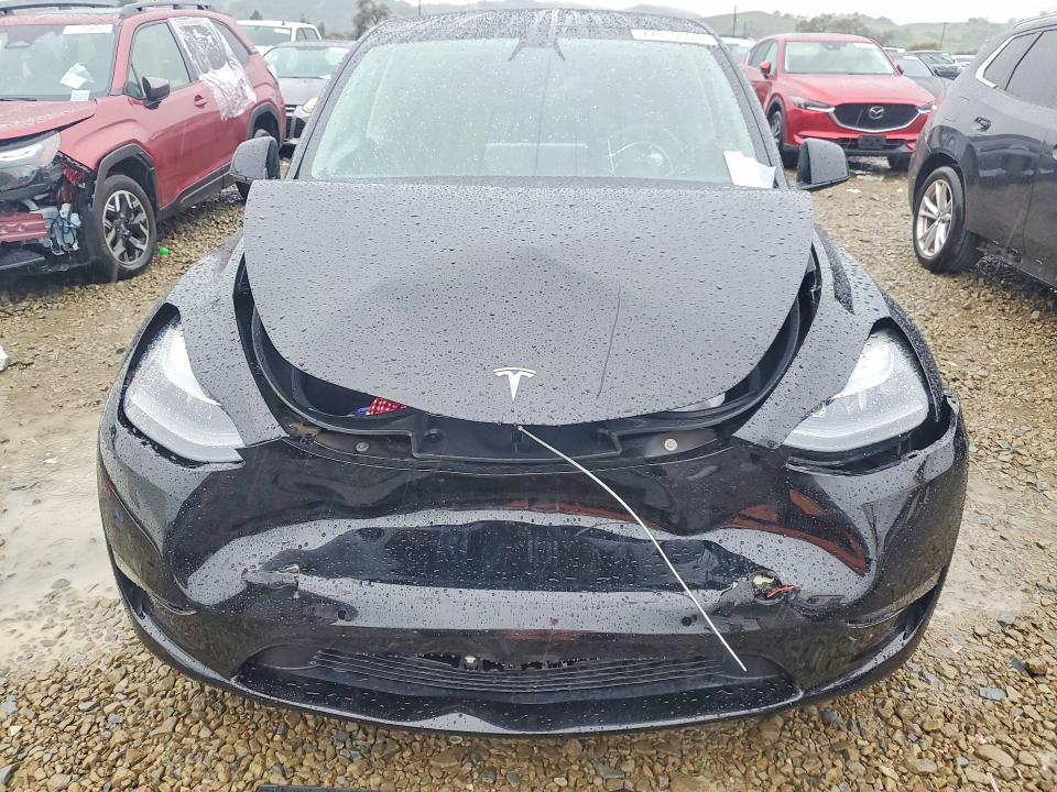 Продаж на аукціоні авто 2022 Tesla Model Y, vin: 7SAYGDEF1NF351322, номер лоту: 77610595