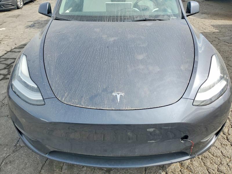 Продаж на аукціоні авто 2023 Tesla Model Y, vin: 7SAYGDEE3PF605039, номер лоту: 74636925