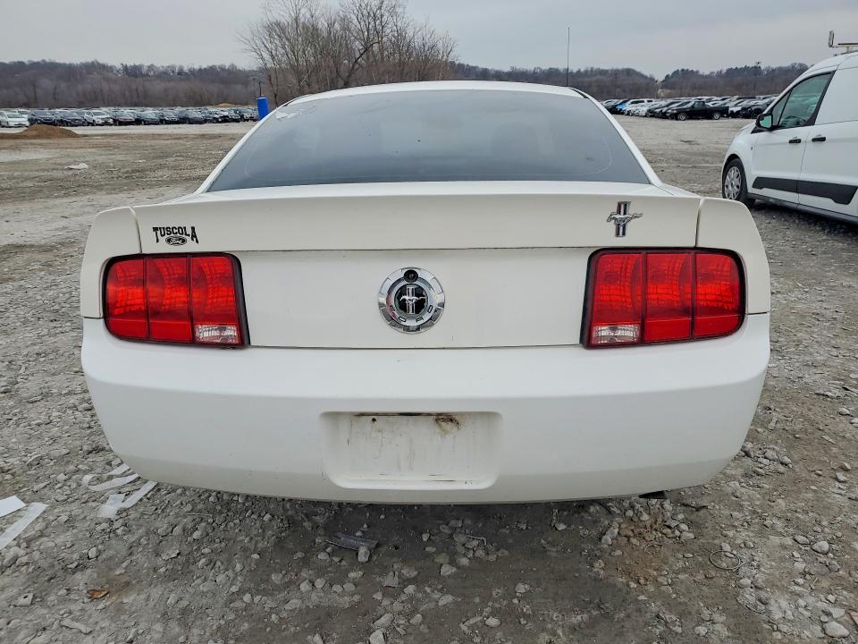 2005 Ford Mustang მანქანა იყიდება აუქციონზე, vin: 1ZVFT80N055191101, აუქციონის ნომერი: 78740085