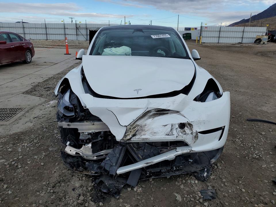 Aukcja sprzedaży 2023 Tesla Model Y, vin: 7SAYGDEE6PF967835, numer aukcji: 77601455
